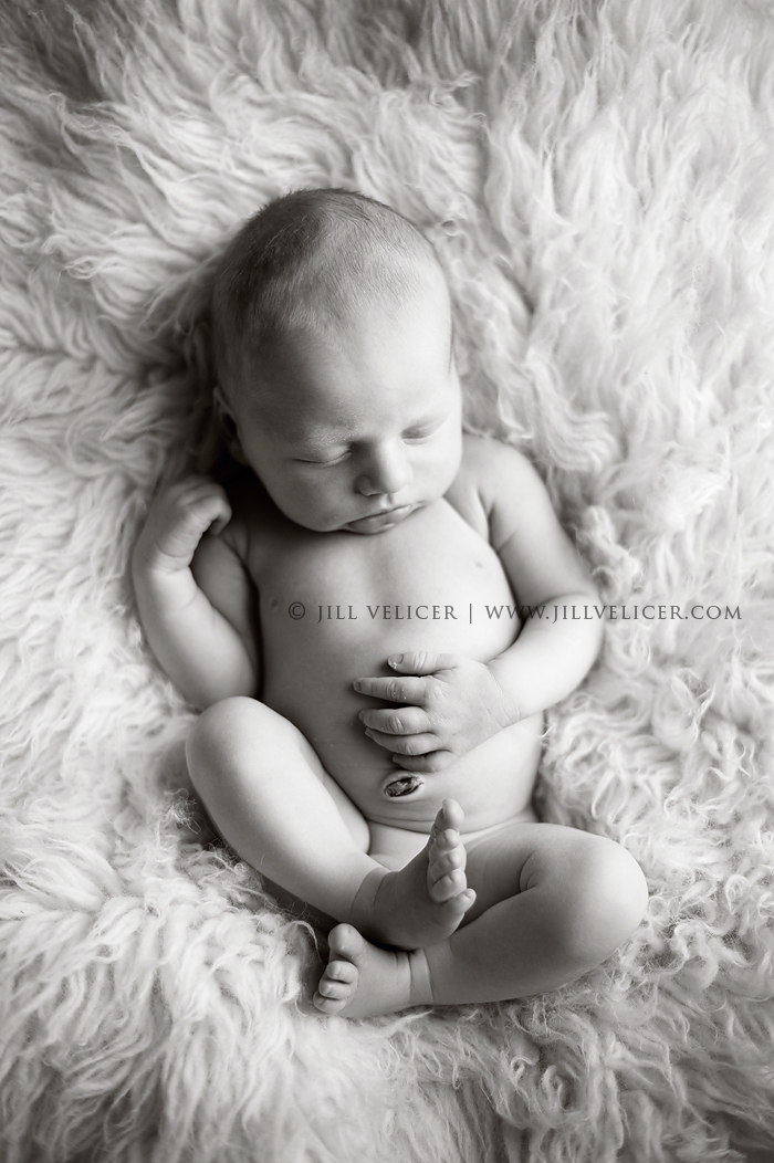 infant photography milwaukee wisconsin