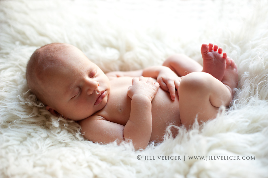 best newborn photographers milwaukee wisconsin