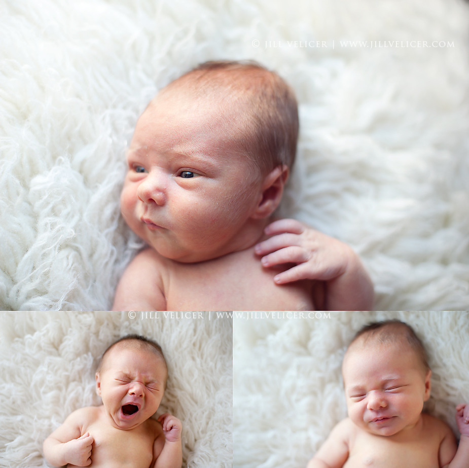 newborn photographer milwaukee wisconsin