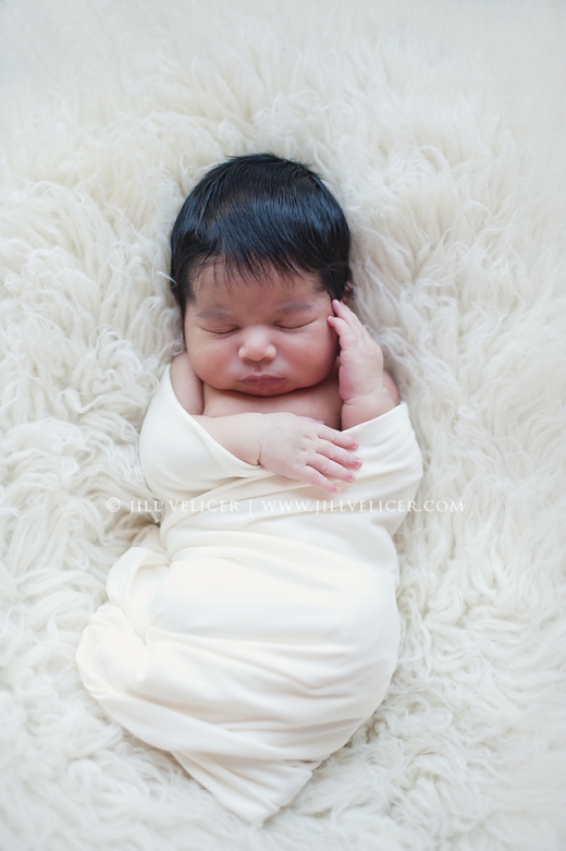 newborn photography milwaukee wisconsin