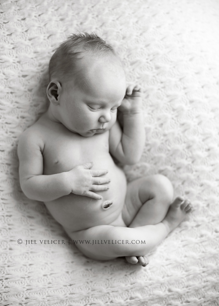 newborn photographer milwaukee wisconsin
