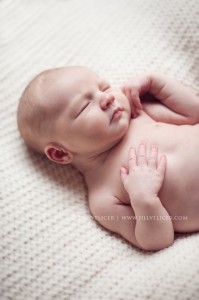 infant photographer milwaukee wisconsin