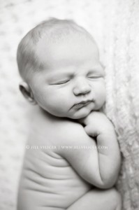 newborn photography studio milwaukee wisconsin