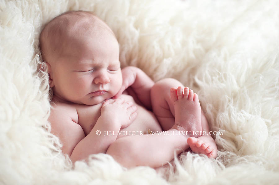 wisconsin newborn photographers