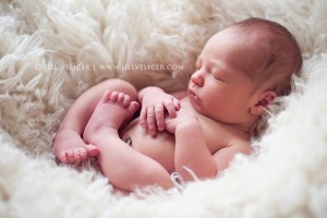 baby photographers milwaukee wisconsin
