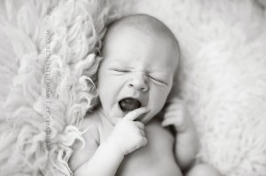 newborn photo session milwaukee wisconsin