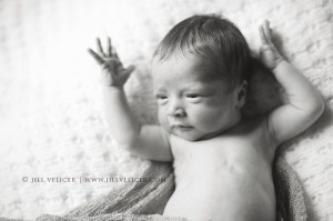 shorewood newborn photographer