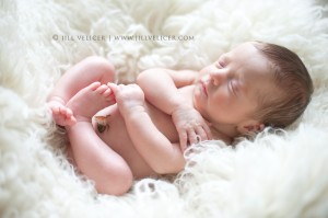 kohler wisconsin newborn photographer