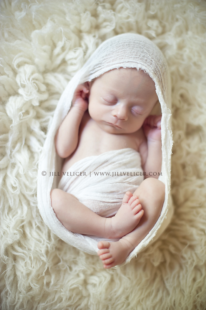 wauwatosa newborn baby photographer