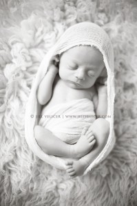 newborn photography session kohler wisconsin