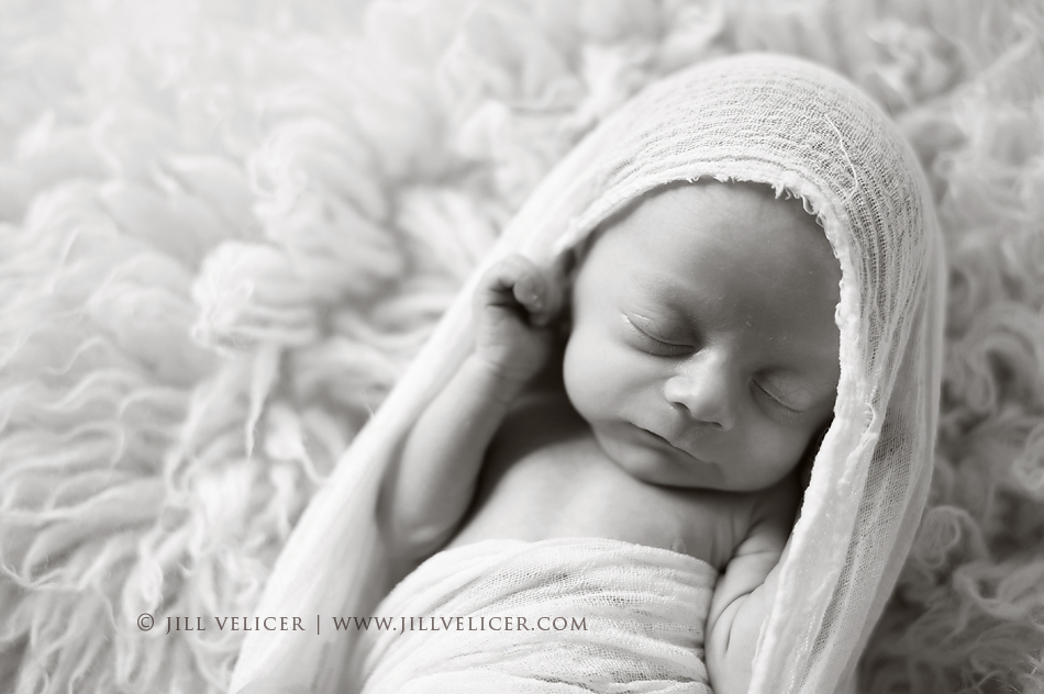 waukesha baby photographer