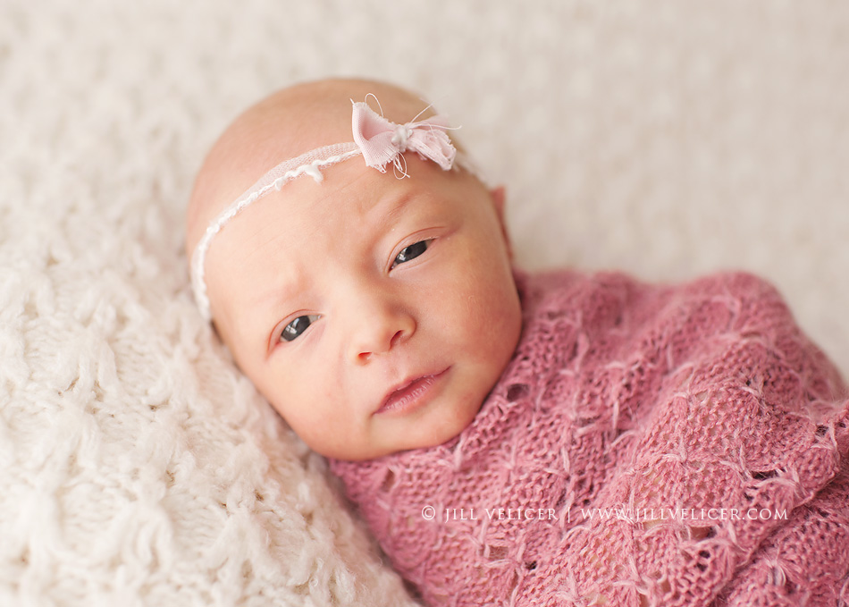 waukesha newborn photographer