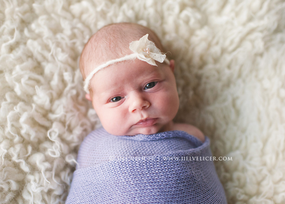 newborn photographer best milwaukee