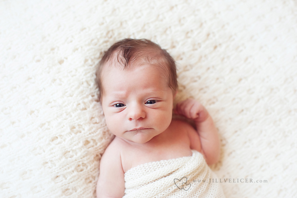 newborn photographer milwaukee