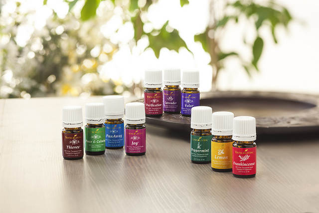 everyday oils young living