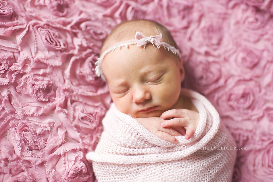 newborn girl photograph milwaukee wisconsin