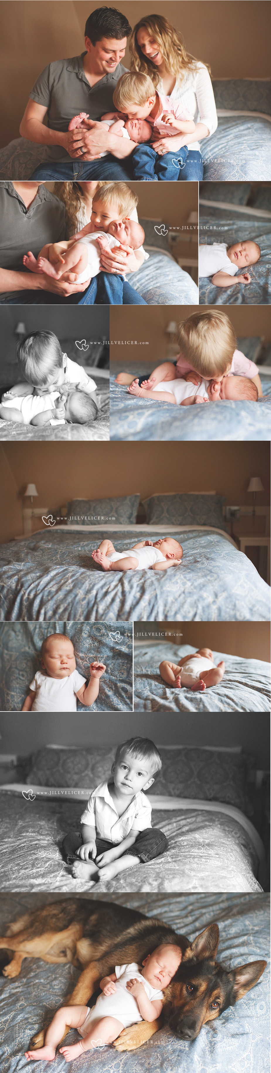 lifestyle newborn family baby photography