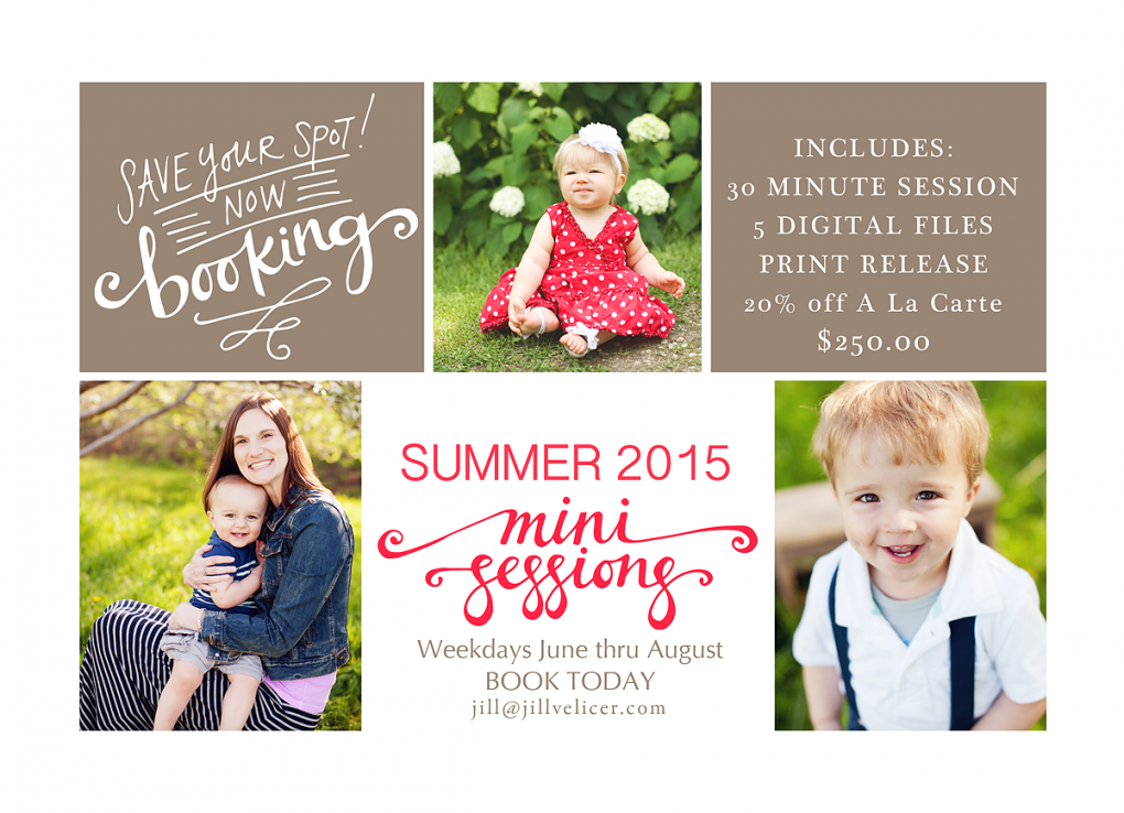 summerMiniSession2015