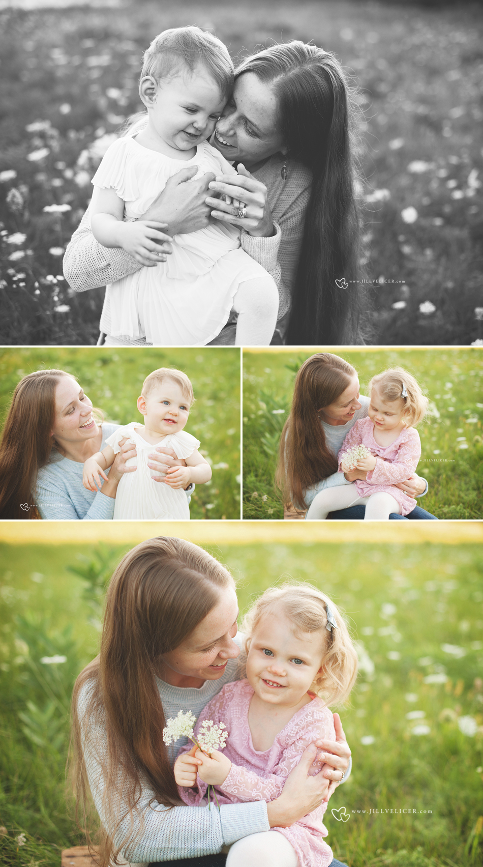 Loving family in Wildflowers ~ Outdoor Wisconsin family child photography