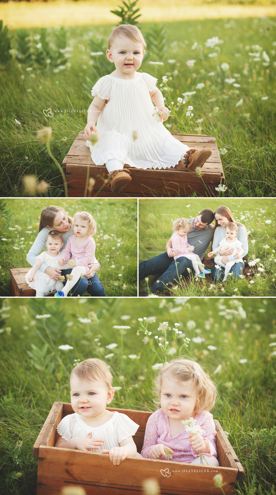 Loving family in Wildflowers ~ Outdoor Wisconsin family child photography