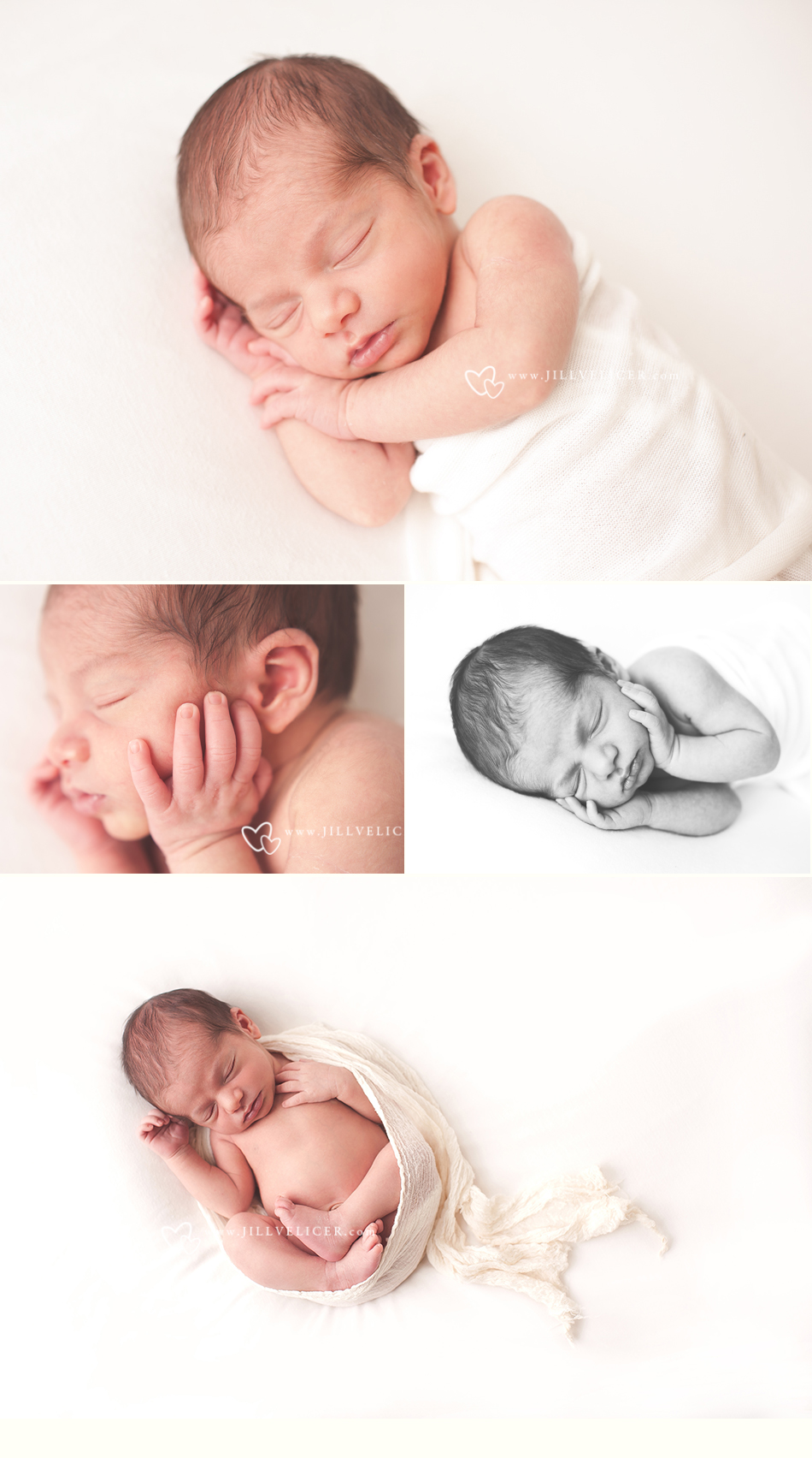 one week old baby boy infant photography wisconsin