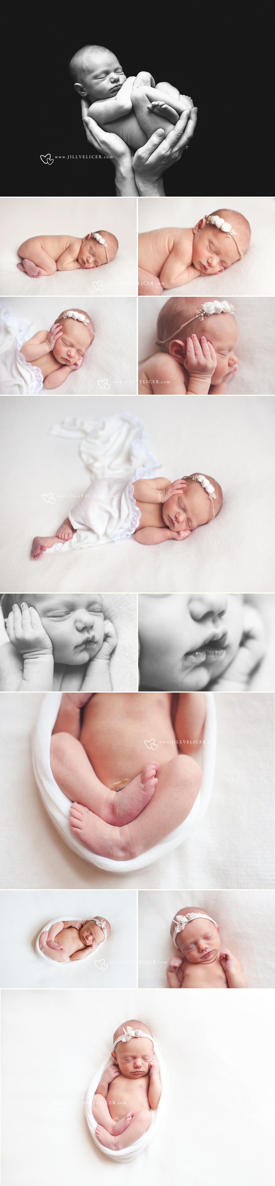 newborn girl photos simple natural photography
