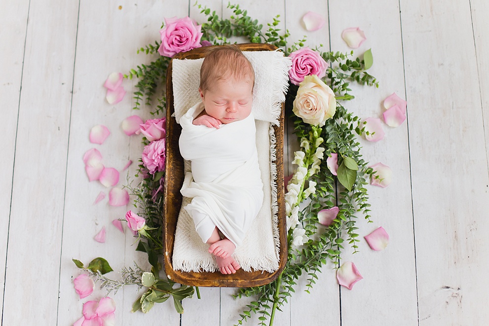 newborn baby photographer milwaukee wisconsin